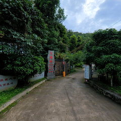天源虫谷VR全景